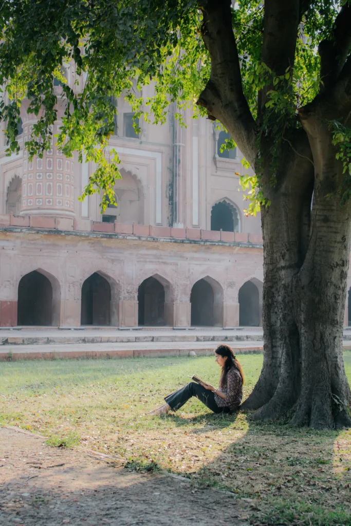 Neem tree
