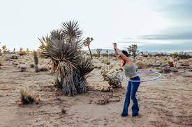 Joshua Trees National Park Weather 