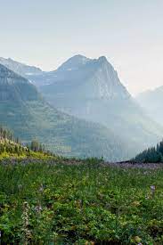 Glacier National Park Canada 