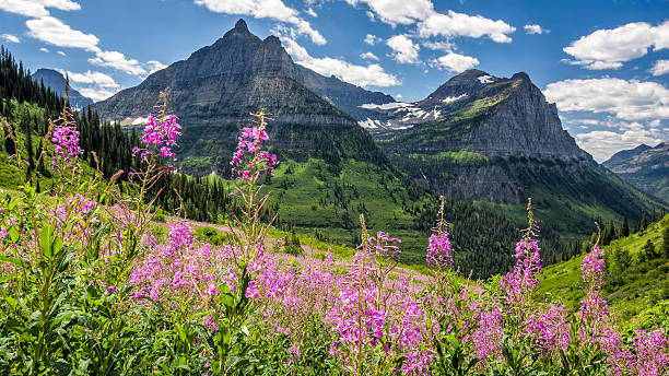 Glacier National Park Canada 