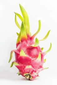 Dragon Fruit and Their Benefits