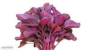 Red amaranth Lal Saag