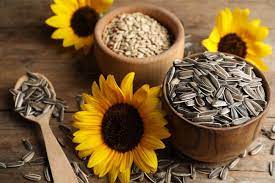 Sunflower Seeds To Plant