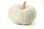 White Pumpkin Uses and Benefits