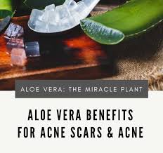 How To Use Aloe Vera For Skin Whitening