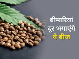 Bhang Ke Beej/Hemp Seeds For Health