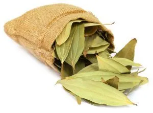 Tej Patta-Bay leaves-Health Benefits-