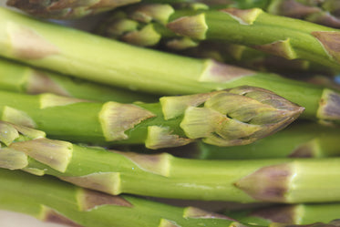 Shatavari Asparagus For Health