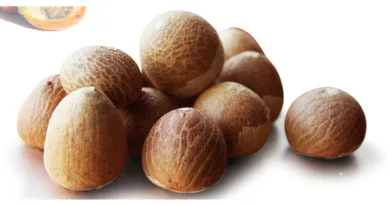 Supari-Betel Nut