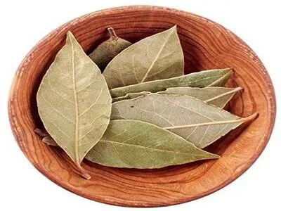 Tej Patta-Bay leaves-Health Benefits-