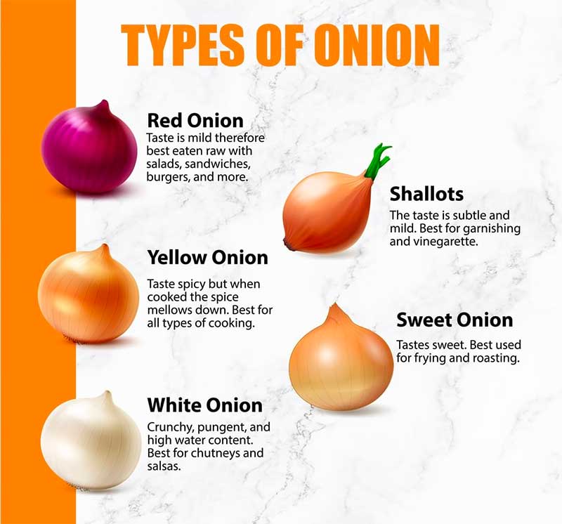 Onions 7 Different Types and How to Use Them