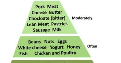 Green Mediterranean Diet