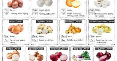 Onions 7 Different Types and How to Use Them