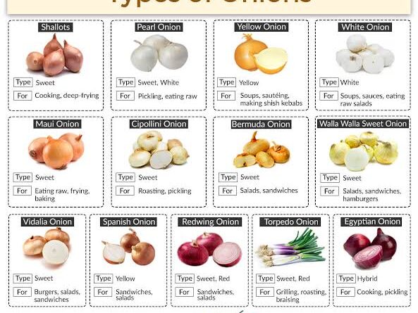 Onions 7 Different Types and How to Use Them