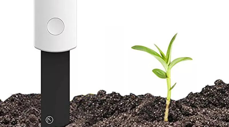 Wearable plant sensor