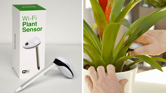   Wearable plant sensor 