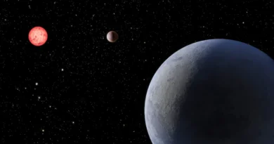 New Earth-sized Planet with Endless Days