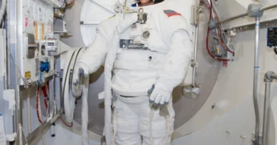 Sunita Williams Third Space Mission Aborted