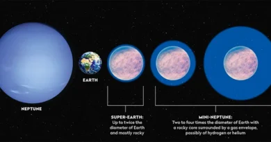 New Habitable Exoplanet