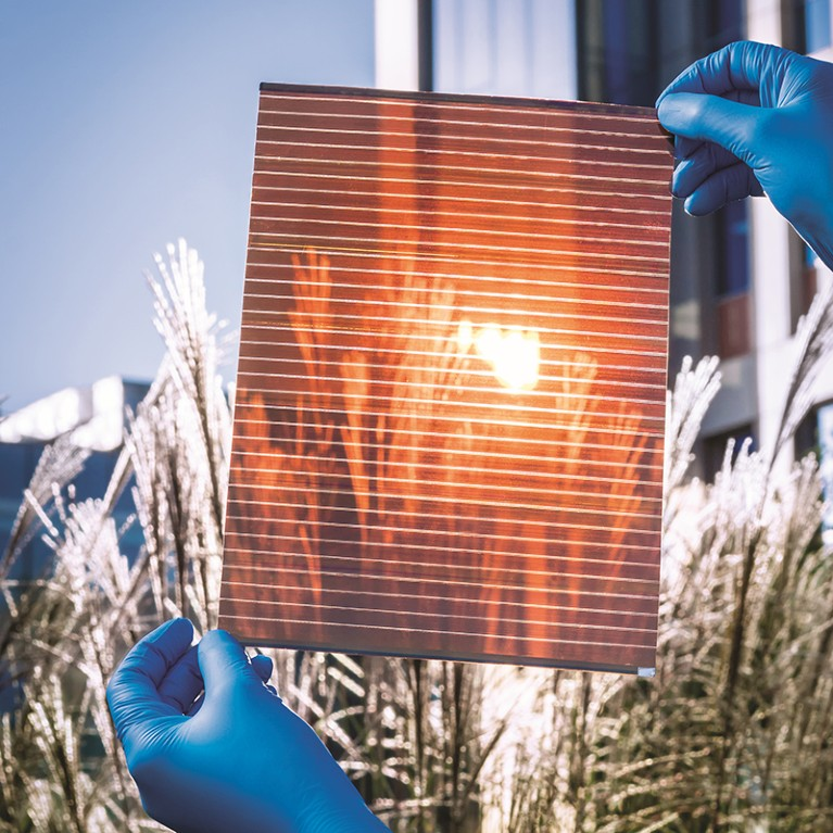 Perovskite Solar Cells