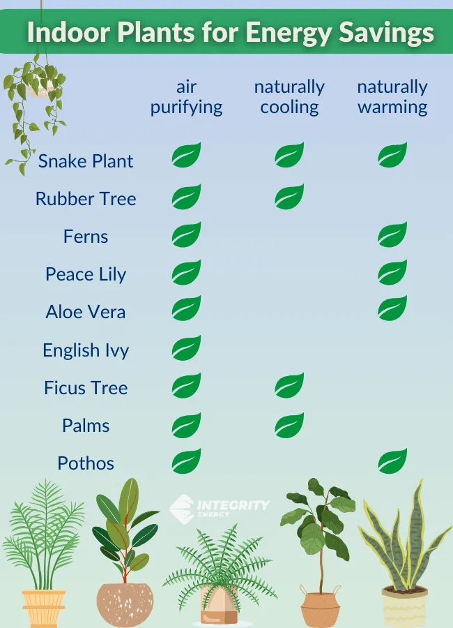 Energy-Saving Plants